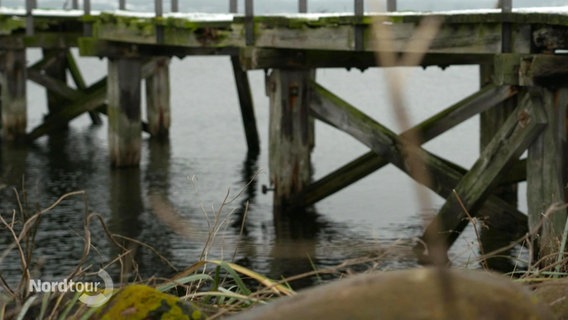 Ein Holzsteg an der Ostsee. © Screenshot 