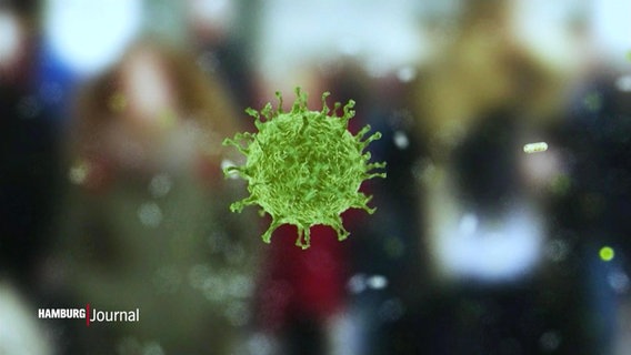 Eine Virus-Animation. © Screenshot 