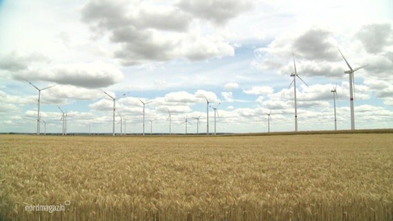 Windkrafträder stehen auf einem Feld © Screenshot 