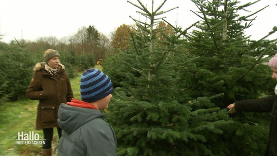 Eine Familie sucht einen Weihnachtsbaum aus. © Screenshot 