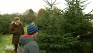 Eine Familie sucht einen Weihnachtsbaum aus. © Screenshot 