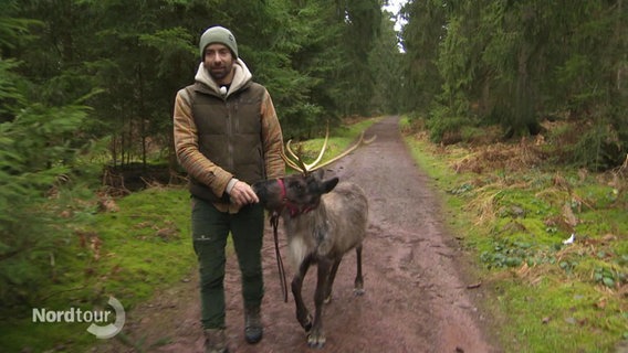 Axel Winter führt ein Rentier im Wald. © Screenshot 
