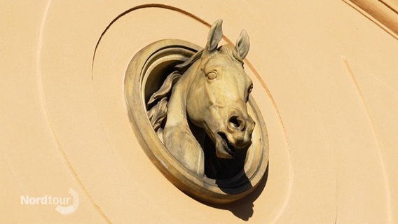Vignette mit steinernem Pferdekopf. © Screenshot 