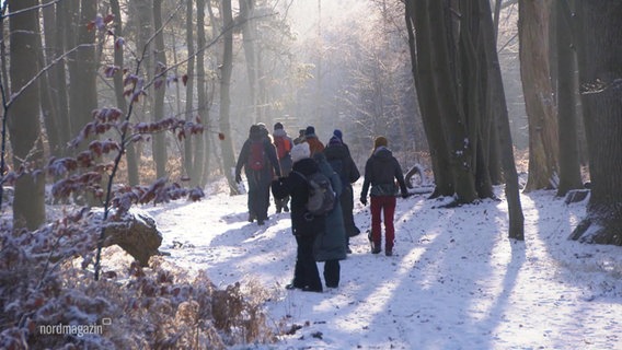 Winterlicher Wald mit Spaziergängern. © Screenshot 