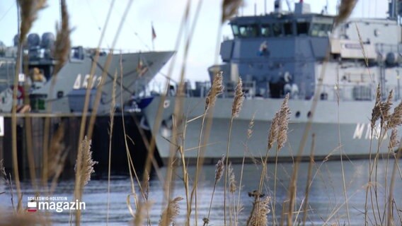 Schilf, Im Hintergrund Marine-Kampfschiffe © Screenshot 