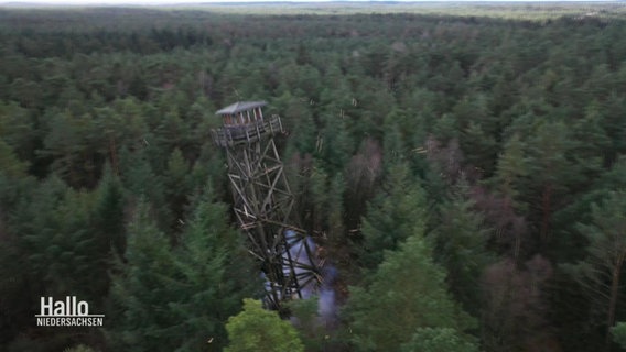 Blick auf einen Feuerwachturm, der im Wald steht und im Begriff ist zu kippen. Unter ihm sieht man Rauchschwaden einer Explosion. © Screenshot 