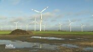 Über eine weite Fläche von Land mit mehreren Feldern sind viele Windräder in einem Windpark verteilt. © Screenshot 