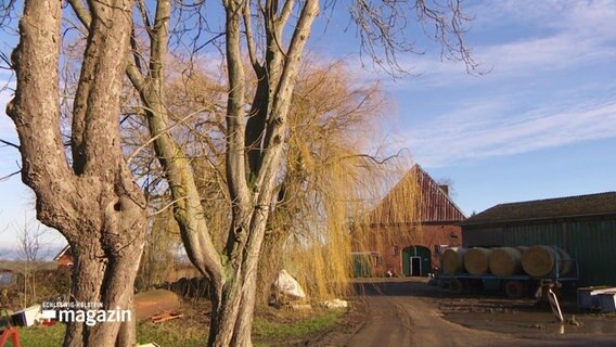 Eine Ansicht mit Bauernhof des Dorfes Klenzau © Screenshot 