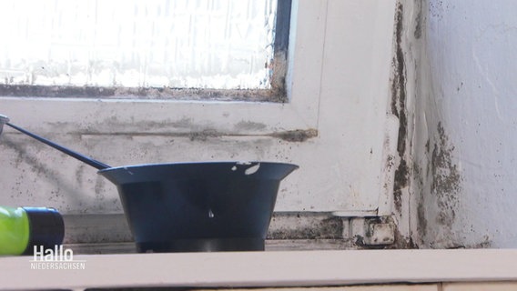 Ein Topf auf einer schimmligen Fensterbank © Screenshot 