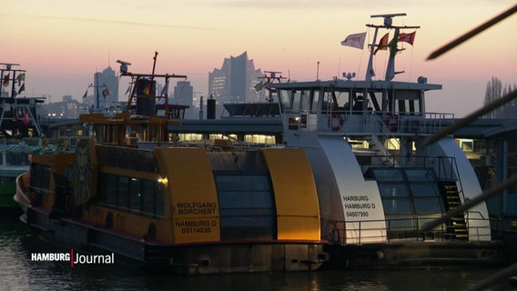 HADAG-Hafenfähren liegen im Morgenrot im Hamburger Hafen. © Screenshot 