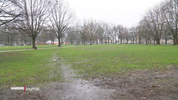 Blick auf die Große Moorweide in Hamburg. © Screenshot 