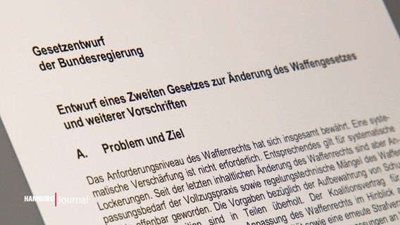 Bundesinnenministerin Nancy Faeser plant mach der Amoktat in Hamburg eine Verschärfung des Waffengesetzes. © Screenshot 
