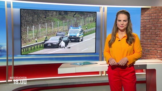 Tina Hermes moderiert Niedersachsen 18:00 © Screenshot 