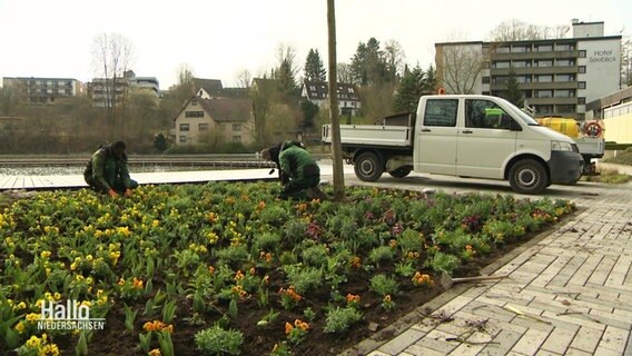 Zwei Personen pflanzen Blumen. © Screenshot 