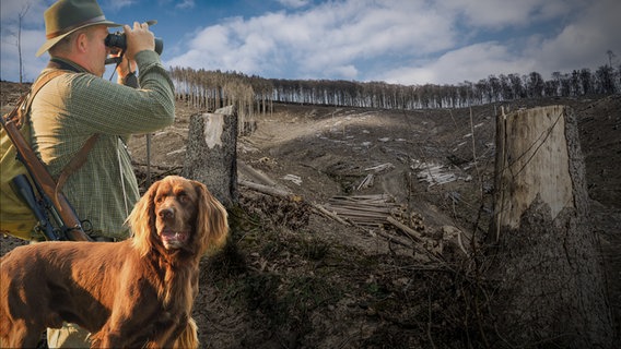 Ein Jäger mit seinem Hund in einem sterbenden Wald. (extra 3 vom 30.03.2023 im Ersten) © NDR 