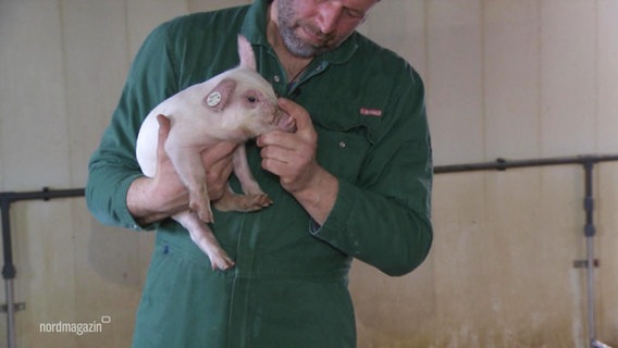 Ein Bauer mit einem Ferkel auf dem Arm. © Screenshot 