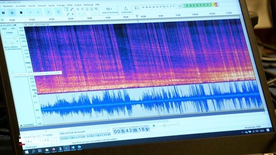 Sound-Spektrum. © Screenshot 