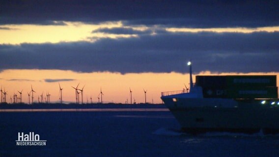 Schiff läuft im Morgengrauen in den Cuxhavener Hafen ein. © Screenshot 