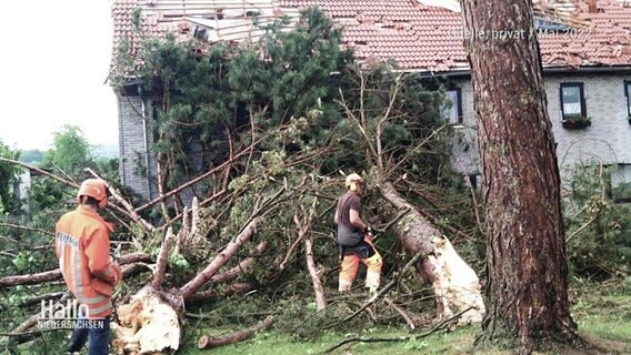 Archiv: Sturmschäden an einem Haus werden nach einem Tornado geräumt. © Screenshot 