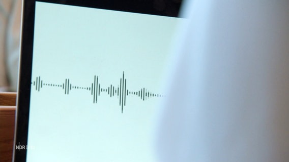 Eine Tonspur auf einem Computermonitor. © Screenshot 