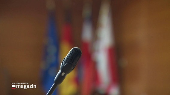 Mikrofon vor Länderflaggen. © Screenshot 
