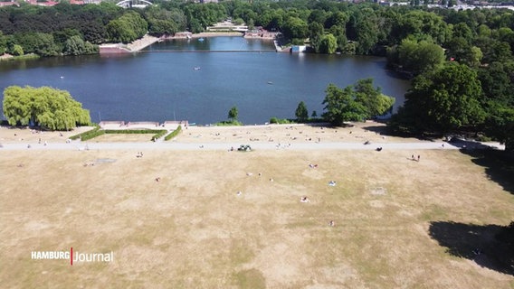 Der Hamburger Stadtpark ist bereits im Juni so trocken wie Reiswaffeln. © Screenshot 