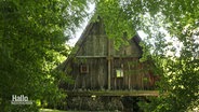 Ein Holzhaus des Künstlerehepaares Georg und Frauke Höge. © Screenshot 