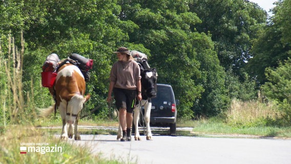 Ida Schmidt ist mit ihren zwei Kühen auf Wanderschaft. © Screenshot 