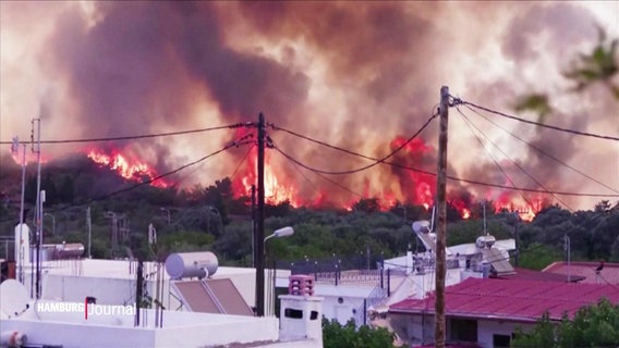 Starke Waldbrände auf Rhodos. © Screenshot 