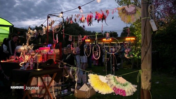 Blick auf das Festivalgeländer vom MS Dockville bei der Veranstaltung "Vogelball"; im Vordergrund Deko mit bunten Federn. © Screenshot 