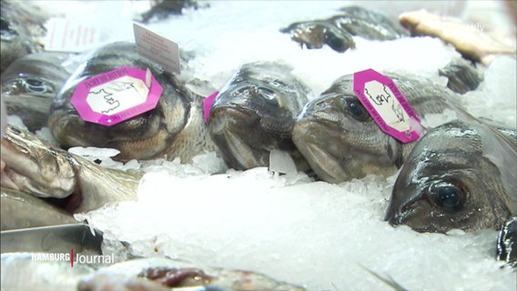 Fische liegen unter einer Theke auf Eis. © Screenshot 