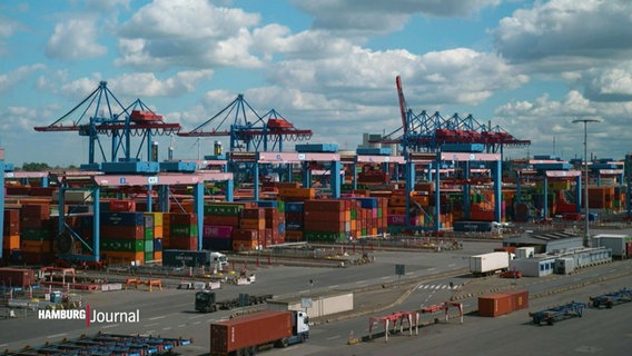 Weitaufnahme der gestapelten Container am Hamburger Hafen. © Screenshot 