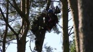 Eine Fallschirmspringerin wird aus einem Baum gerettet. © Screenshot 