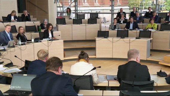 Eine Debatte im Kieler Landtag. © Screenshot 