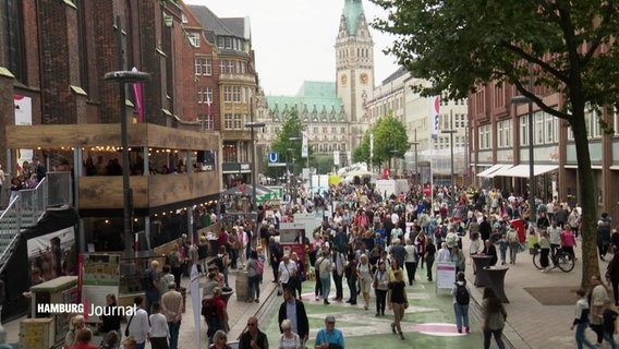 Szene von der Feierlichkeiten zum Tag der Deutschen Einheit in Hamburg. © Screenshot 