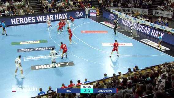 Blick von der Tribüne auf das Feld bei einem laufenden Handballspiel © Screenshot 