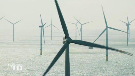 Ein Offshore-Windpark. © Screenshot 