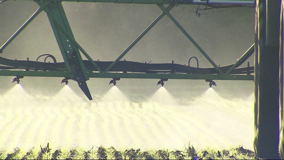 Nahaufnahme einer landwirtschaftlichen Maschine, die Pestizide über Pflanzen verteilt. © Screenshot 