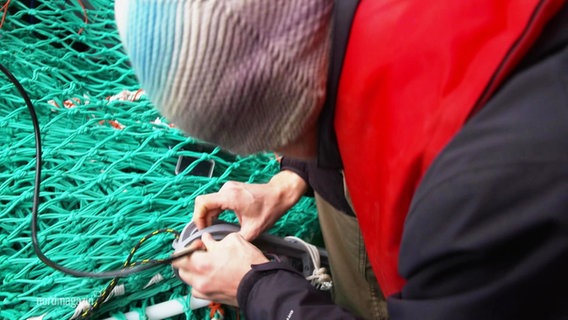 Eine Person legt Hand an ein Fischernetz. © Screenshot 