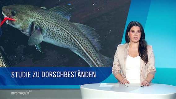 Nachrichtensprecherin Eva-Maria Guhl im Studio, links von ihr ein Bild von einem Dorsch mit der Unterschrift: "Studie zu Dorschbeständen". © Screenshot 