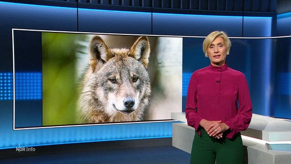 Susanne Stichler. © Screenshot 