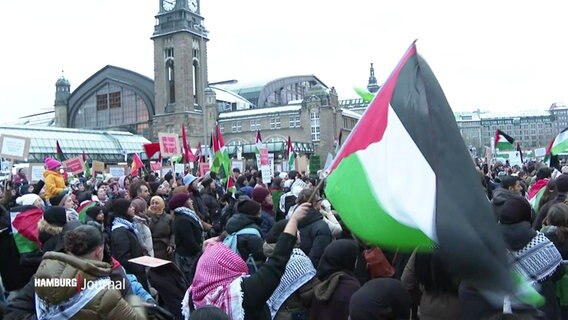 Menschen bei einer Pro-Palästina-Demo in Hamburg. © Screenshot 