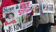 Demonstrierende halten selbgemachte Plakate hoch. Darauf zu sehen: Bilder von Hunden und Slogans gegen die Hundesteuer. © Screenshot 