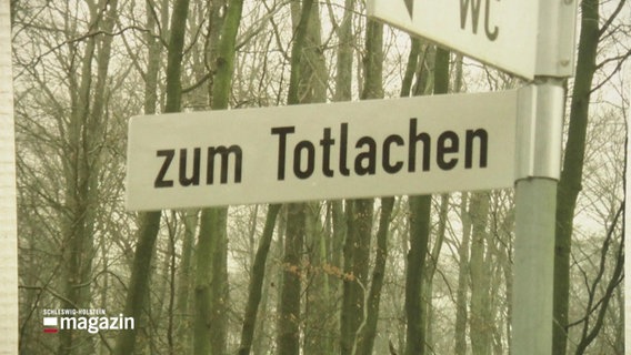 Ein Wegweiser in einem Wald weist in eine Richtung "zum Totlachen" aus. © Screenshot 