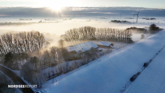 Eine tief stehende Sonne bescheint eine verschneite flache Landschaft mit Feldern und Bäumen, auf den Flächen steht malerisch der Nebel. © Screenshot 