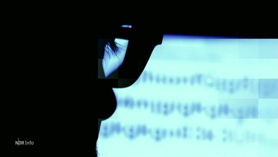 Eine Person mit Brille, die vor einem Computerbildschrim sitzt. © Screenshot 