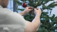 Eine Person schmückt einen Weihnachtsbaum. © Screenshot 