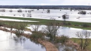 Überflutete Wiesen an der Elbe. © Screenshot 