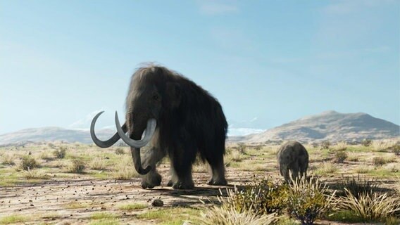 Ein großes und ein kleines Mammut laufen durch eine hügelige Landschaft © Screenshot 