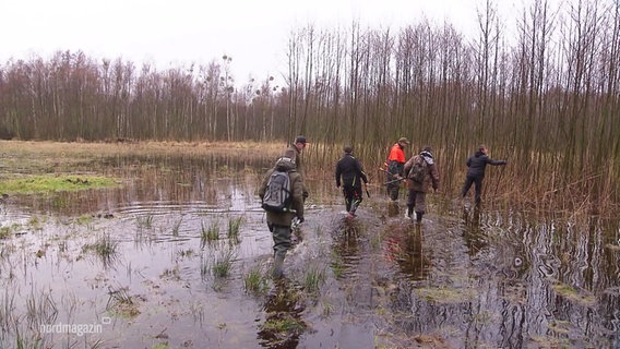 Teilnehmerinnen beim Forscher-Winter-Camp für Kinder in Ueckermünde laufen durchs Wasser. © Screenshot 